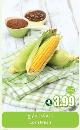 available at أسواق عبد الله العثيم in مملكة العربية السعودية, السعودية, سعودية - رفحاء