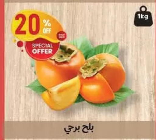 available at الحبيب ماركت in Egypt - القاهرة