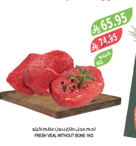 Veal available at Farm  in KSA, Saudi Arabia, Saudi - Al-Kharj