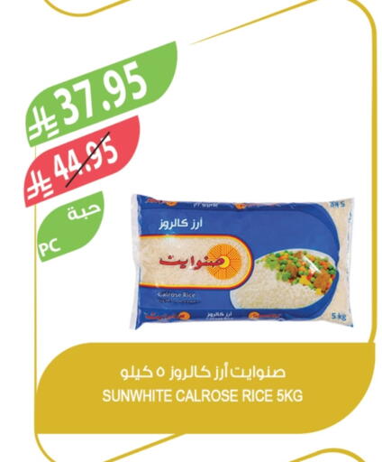 Calrose Rice available at Farm  in KSA, Saudi Arabia, Saudi - Al-Kharj