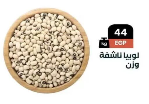 available at عرفة ماركت in Egypt - القاهرة