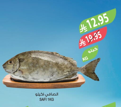 available at المزرعة in مملكة العربية السعودية, السعودية, سعودية - الخرج