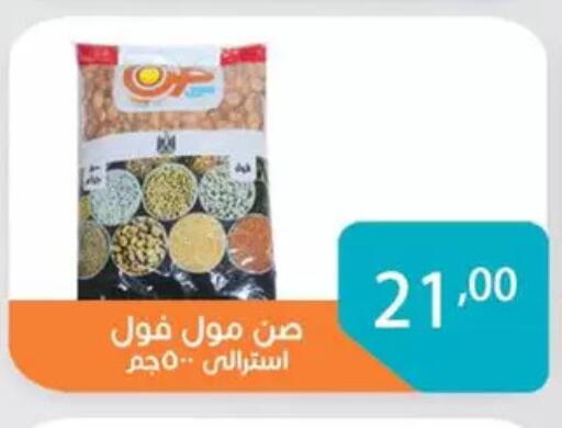 available at صن مول in Egypt - القاهرة