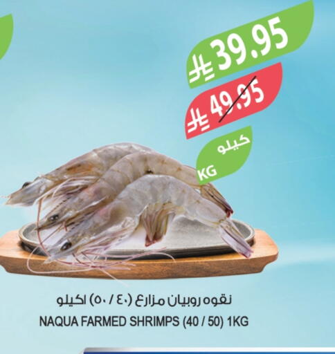 available at المزرعة in مملكة العربية السعودية, السعودية, سعودية - الخرج