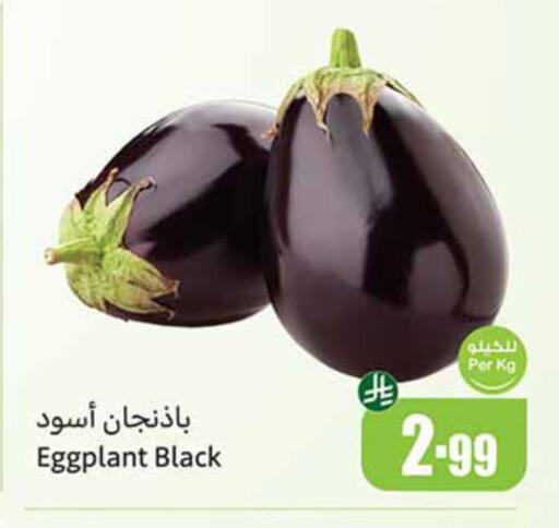 Eggplant available at أسواق عبد الله العثيم in مملكة العربية السعودية, السعودية, سعودية - رفحاء