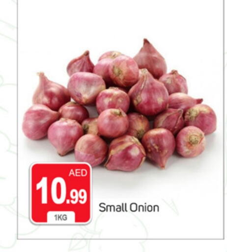 بصل available at سوق طلال in الإمارات العربية المتحدة , الامارات - دبي