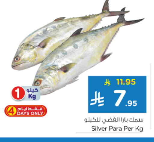 available at نستو in مملكة العربية السعودية, السعودية, سعودية - الخرج