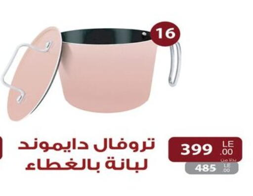 available at رنين in Egypt - القاهرة