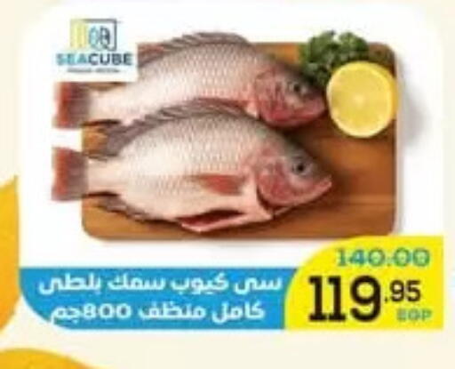 available at اسواق الضحى in Egypt - القاهرة