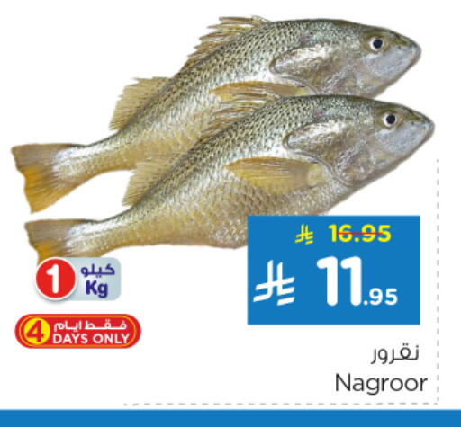 available at نستو in مملكة العربية السعودية, السعودية, سعودية - الخرج