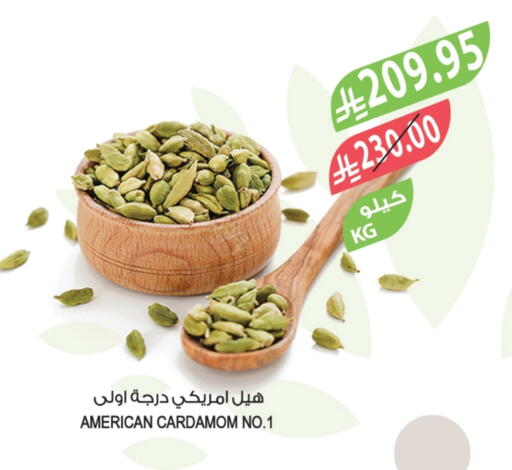 أعشاب مجففة available at المزرعة in مملكة العربية السعودية, السعودية, سعودية - تبوك