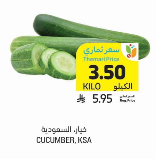 Cucumber available at أسواق التميمي in مملكة العربية السعودية, السعودية, سعودية - الخبر‎