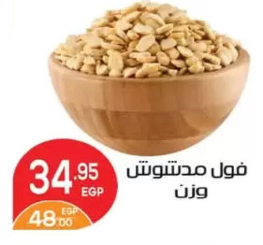 Fava Beans available at Zaher Dairy in Egypt - Cairo