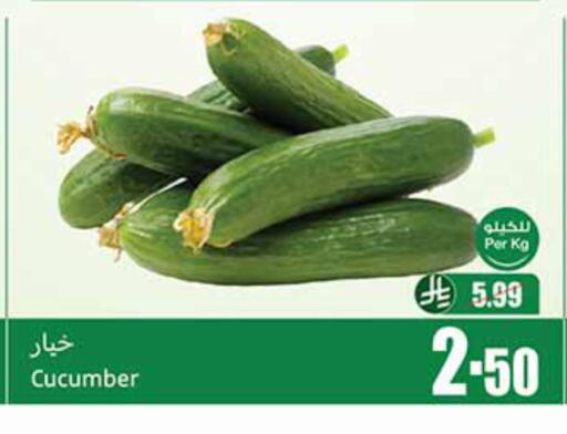 خيار available at أسواق عبد الله العثيم in مملكة العربية السعودية, السعودية, سعودية - الخبر‎