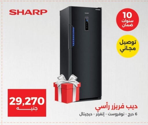شارب فريزر available at رنين in Egypt - القاهرة