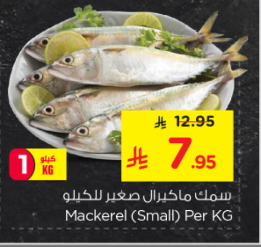 available at نستو in مملكة العربية السعودية, السعودية, سعودية - الخبر‎