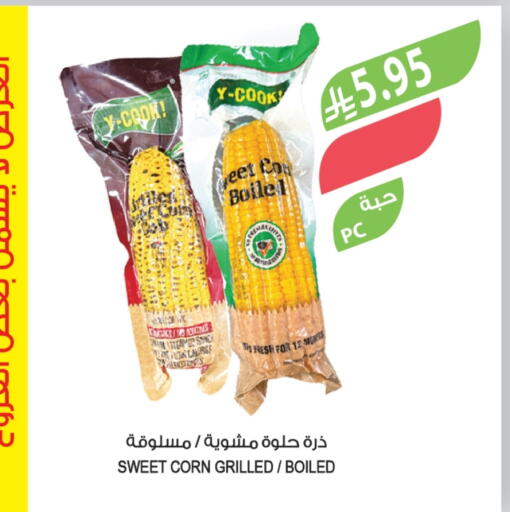 available at Farm  in KSA, Saudi Arabia, Saudi - Tabuk