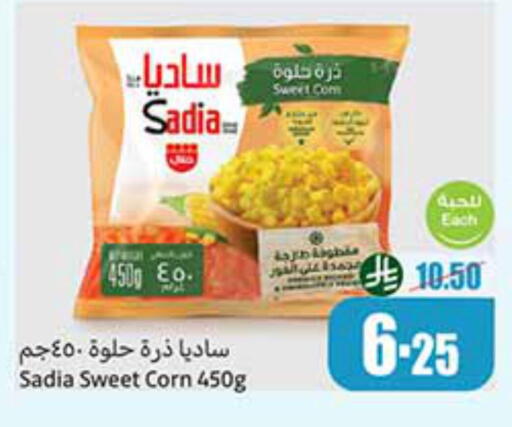 SADIA available at Othaim Markets in KSA, Saudi Arabia, Saudi - Sakaka