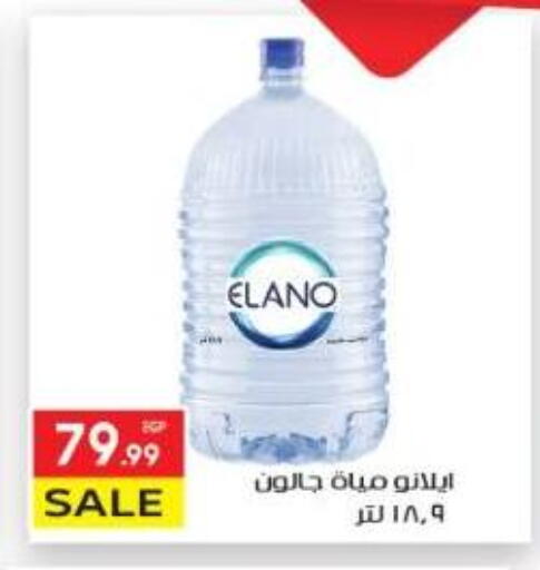 available at المحلاوي ماركت in Egypt - القاهرة