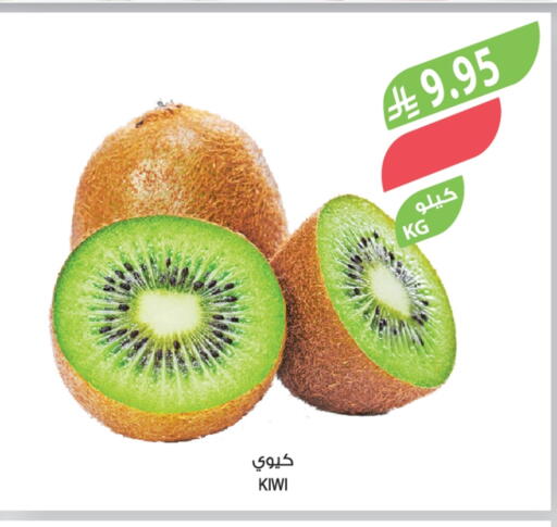 Kiwi available at Farm  in KSA, Saudi Arabia, Saudi - Al-Kharj