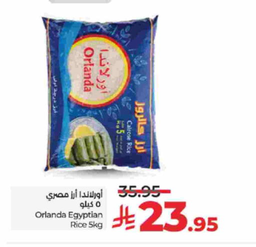 أورلاندا أرز كالروز available at لولو هايبرماركت in مملكة العربية السعودية, السعودية, سعودية - تبوك