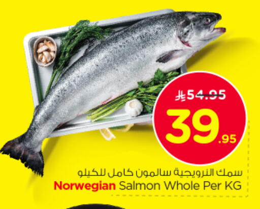 available at نستو in مملكة العربية السعودية, السعودية, سعودية - الخبر‎