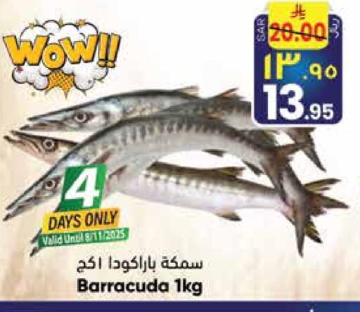 available at City Flower in KSA, Saudi Arabia, Saudi - Sakaka