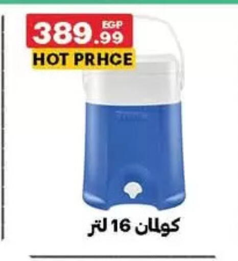 available at الحبيب ماركت in Egypt - القاهرة