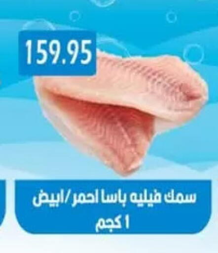 available at Euromarche in Egypt - Cairo