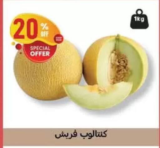 available at الحبيب ماركت in Egypt - القاهرة