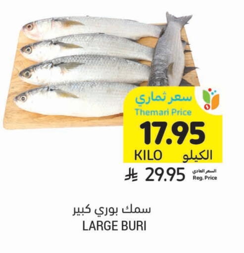 available at Tamimi Market in KSA, Saudi Arabia, Saudi - Tabuk