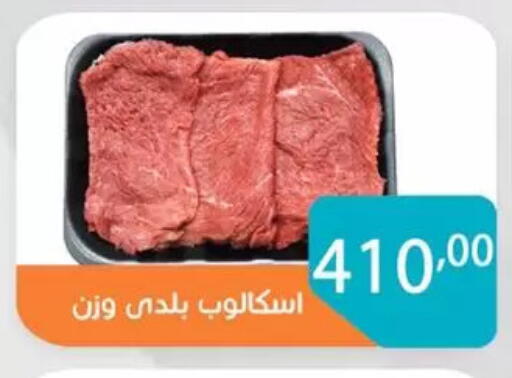 available at صن مول in Egypt - القاهرة