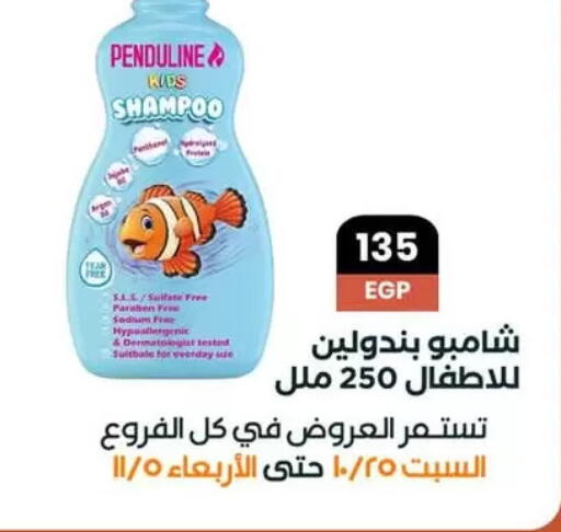 available at Arafa Market in Egypt - Cairo