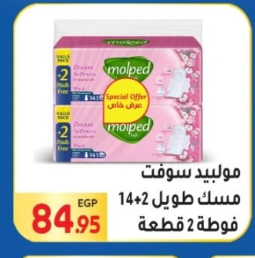 available at المحلاوي ماركت in Egypt - القاهرة