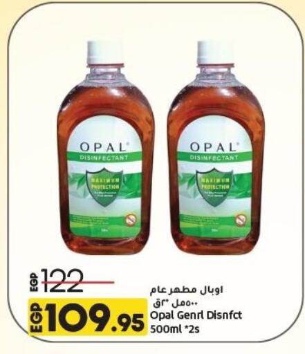 Disinfectant available at Lulu Hypermarket  in Egypt - Cairo