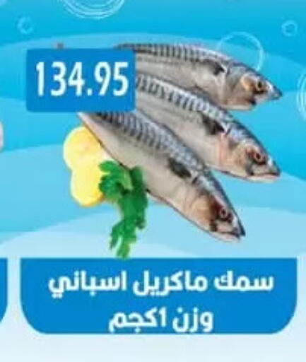 available at يورومارشيه in Egypt - القاهرة