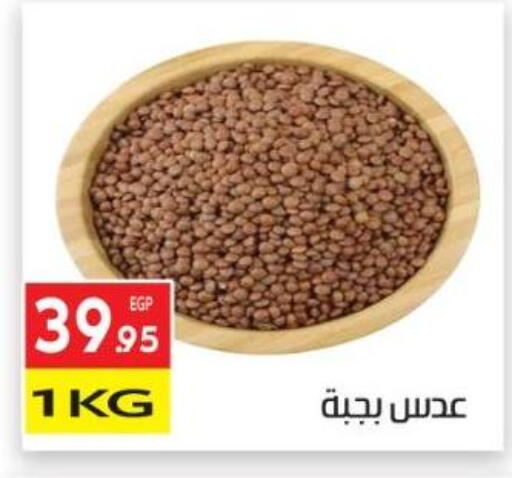 available at المحلاوي ماركت in Egypt - القاهرة