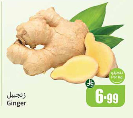 زنجبيل available at أسواق عبد الله العثيم in مملكة العربية السعودية, السعودية, سعودية - رفحاء