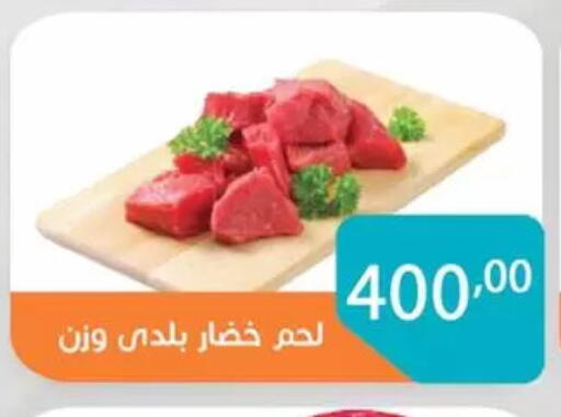 available at صن مول in Egypt - القاهرة