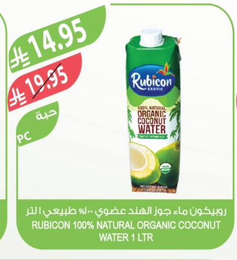 Coconut available at المزرعة in مملكة العربية السعودية, السعودية, سعودية - تبوك