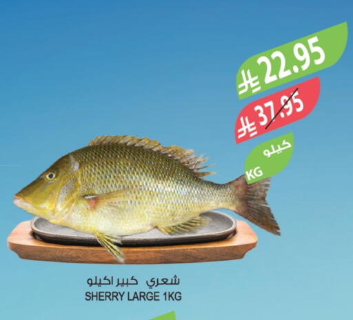 available at المزرعة in مملكة العربية السعودية, السعودية, سعودية - الخرج