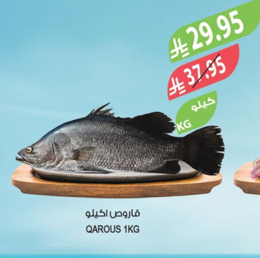 available at المزرعة in مملكة العربية السعودية, السعودية, سعودية - الخرج