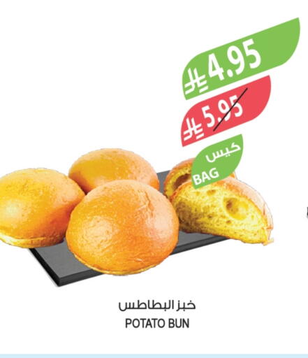 Potato available at Farm  in KSA, Saudi Arabia, Saudi - Al-Kharj