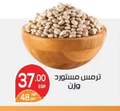 available at زاهر in Egypt - القاهرة