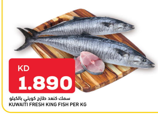 سمك ملكي available at أونكوست in الكويت