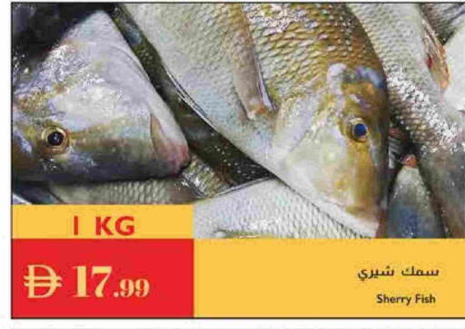 available at إسطنبول سوبرماركت in الإمارات العربية المتحدة , الامارات - رَأْس ٱلْخَيْمَة