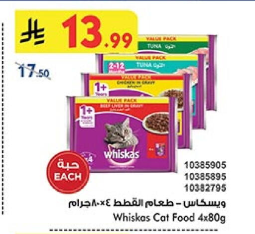 available at بن داود in مملكة العربية السعودية, السعودية, سعودية - المدينة المنورة