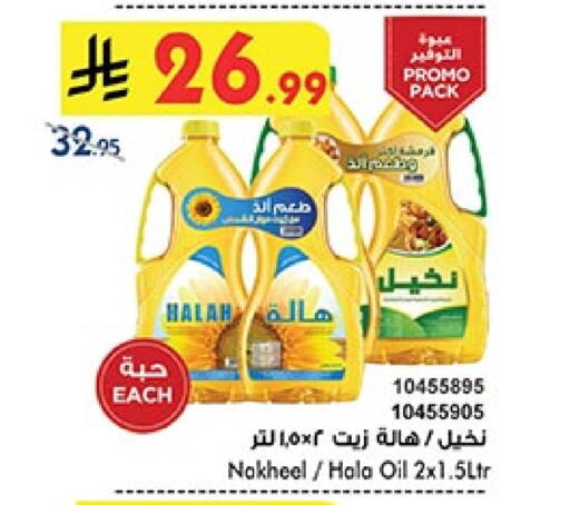 available at بن داود in مملكة العربية السعودية, السعودية, سعودية - المدينة المنورة