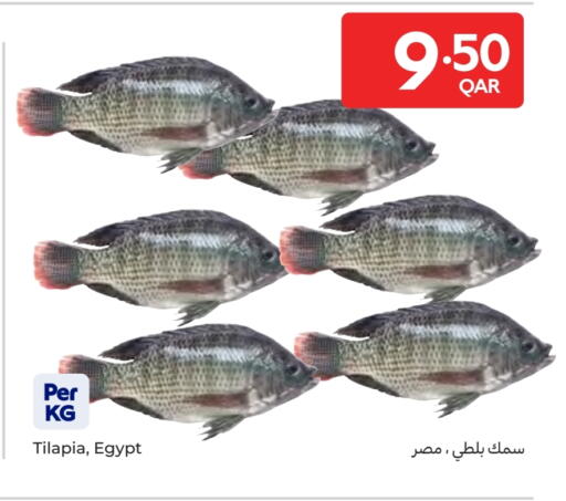 available at Carrefour in Qatar - Al-Shahaniya