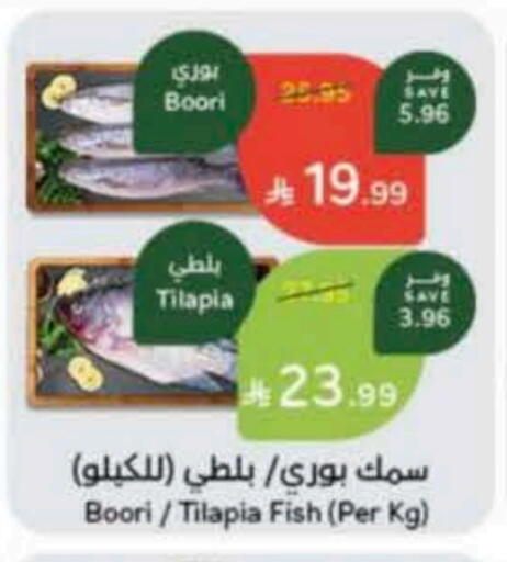 available at Hyper Panda in KSA, Saudi Arabia, Saudi - Tabuk